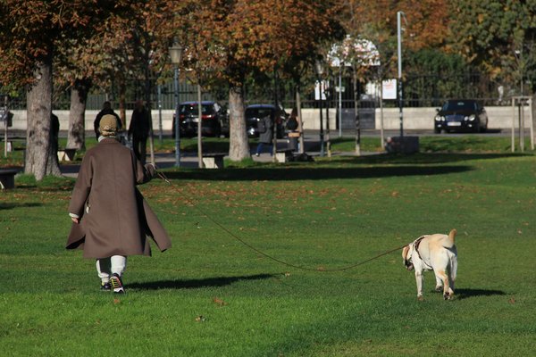 Comment choisir le bon nom pour votre chiot